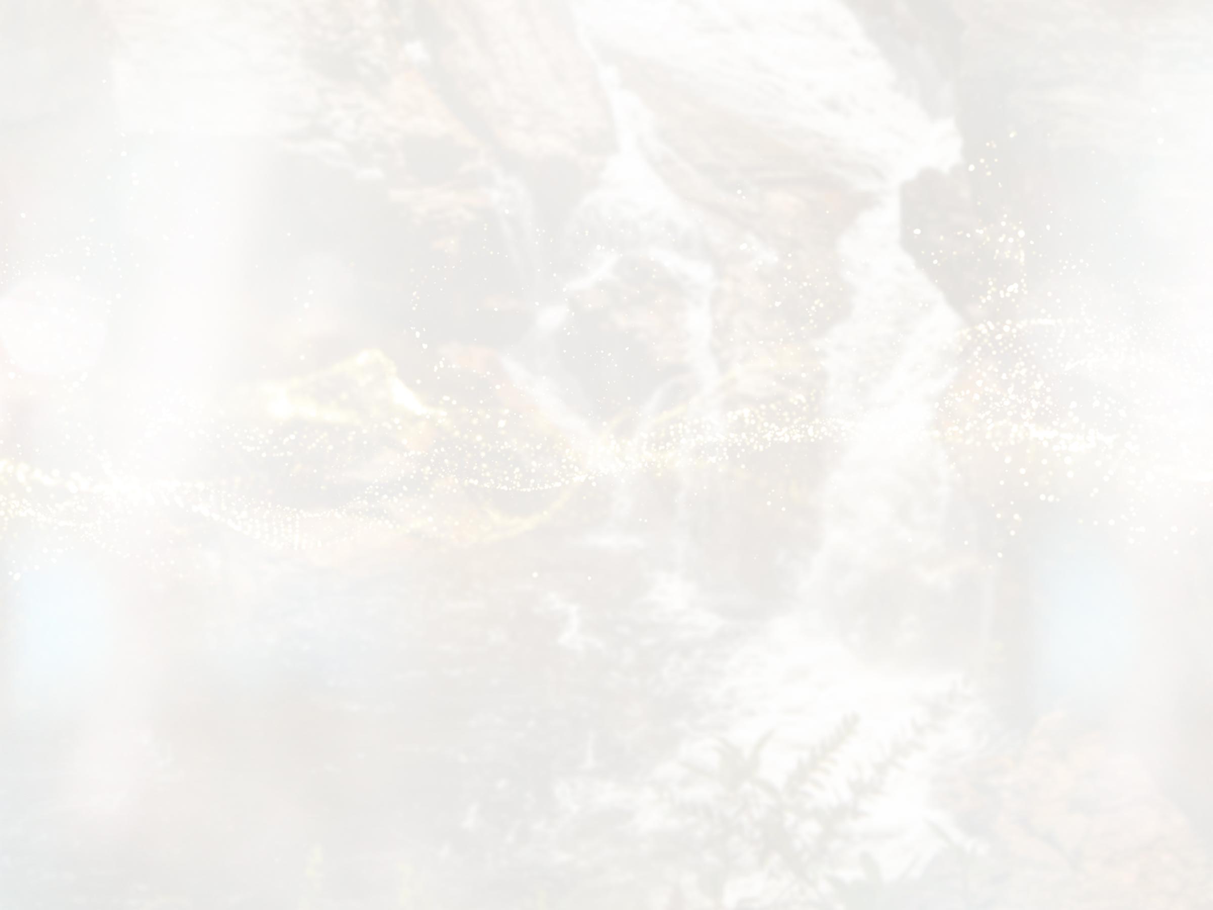 Flower background