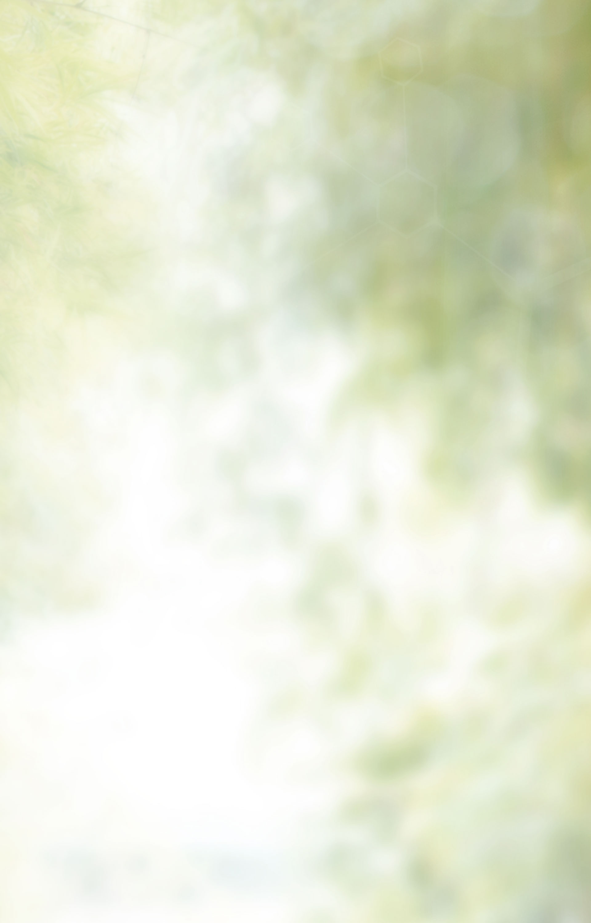 Flower background