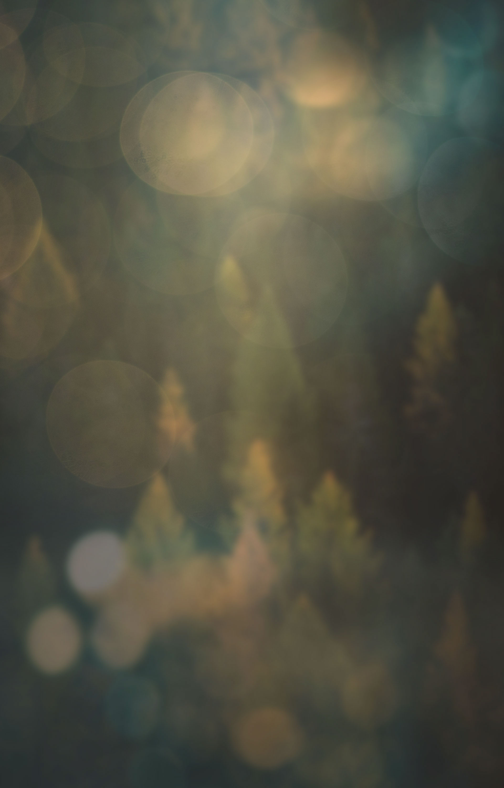 Flower background