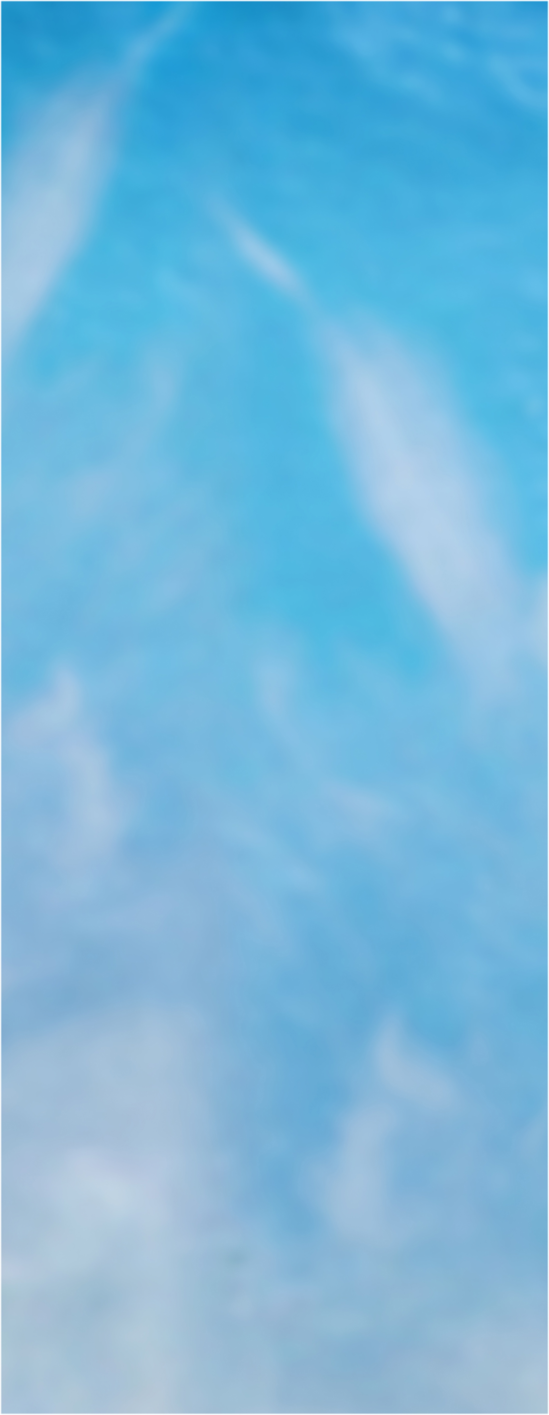 Flower background