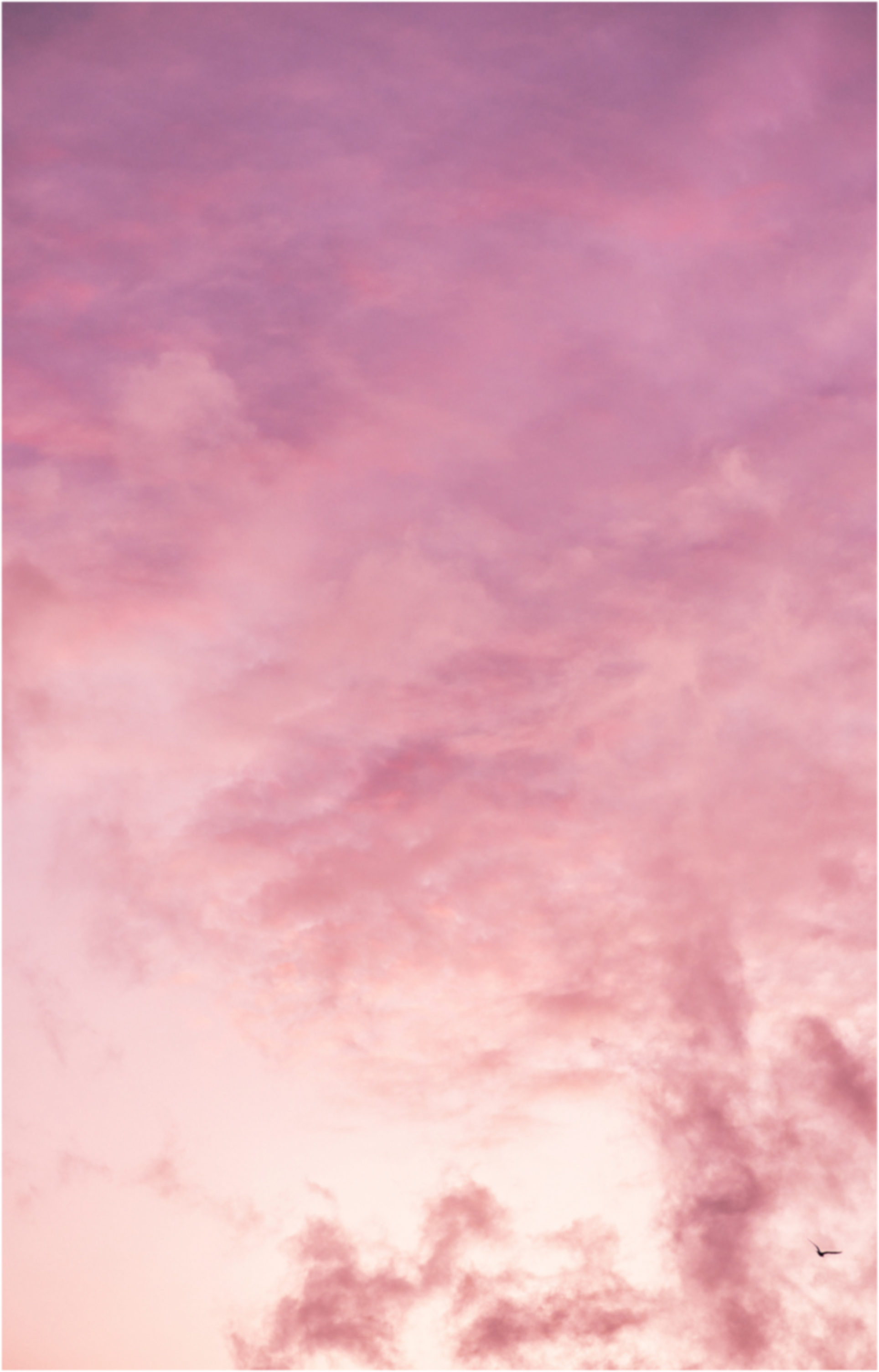 Flower background